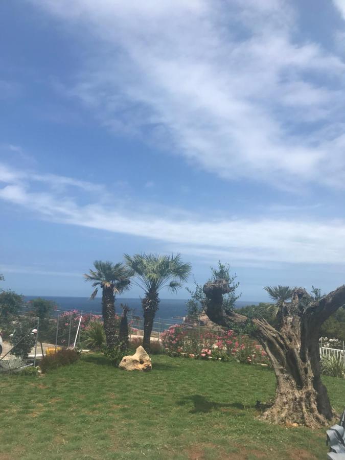 Cocciu D'amuri Apartamento