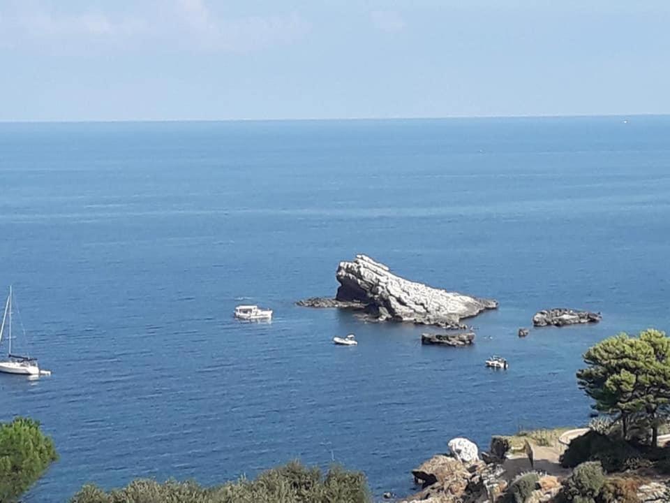 Cocciu D'amuri Apartamento